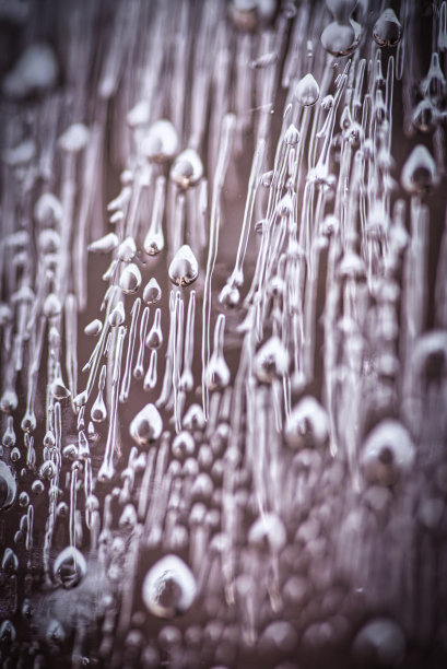 宏观照片2021图片下载