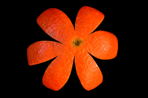 孤立橘色去皮橙皮。特写视图。图片下载