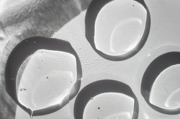 培养皿中的液体。透明凝胶在培养皿中的特写图片下载