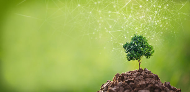 CSR概念树，绿色背景图片下载