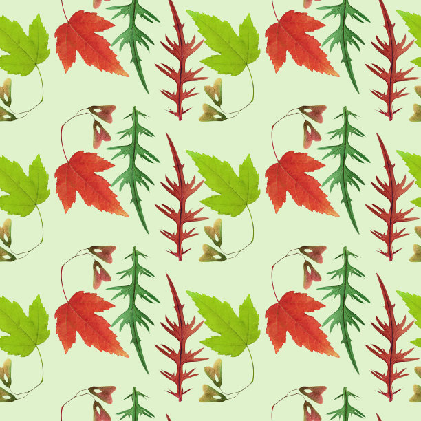 枫叶，蓟叶。插图，花朵的纹理。用于连续复制的无缝模式。花的背景，照片拼贴纺织品，棉织物。用于壁纸，封面，打印图片下载