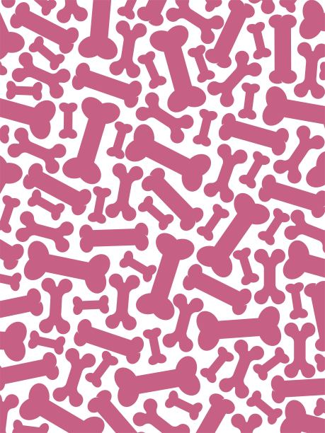 骨头状的狗饼干。轮廓。图片下载