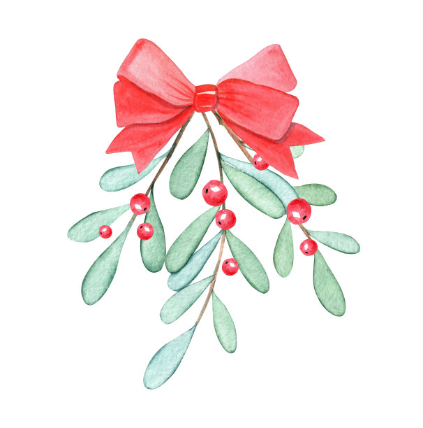 水彩槲寄生枝与红丝带隔离在白色图片下载
