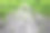 公园里一条破旧的木道，木板不见了，木板之间种着绿色的小植物。照片的角度图片下载