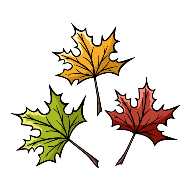 手绘图标的树叶在涂鸦风格图片下载