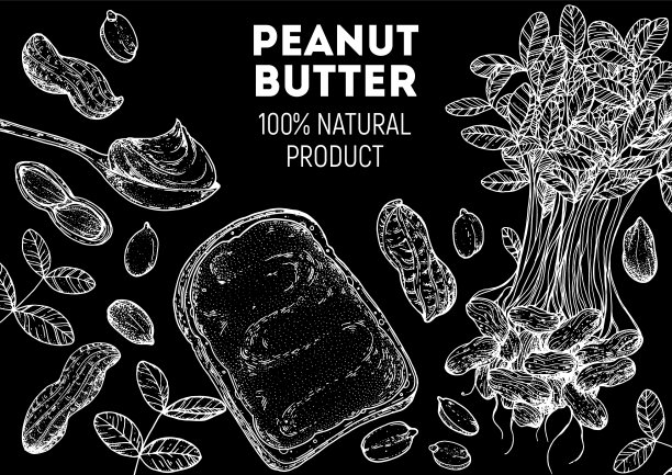 花生和花生酱配料。手绘矢量插图。设计模板。素食食物。花生坚果。图片下载
