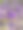 卡利卡帕，美丽的浆果图片下载