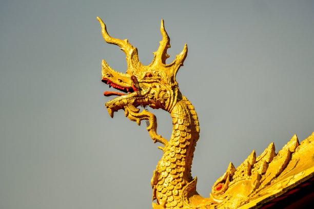 屋顶上的中国龙，以数码照片图片为背景图片下载