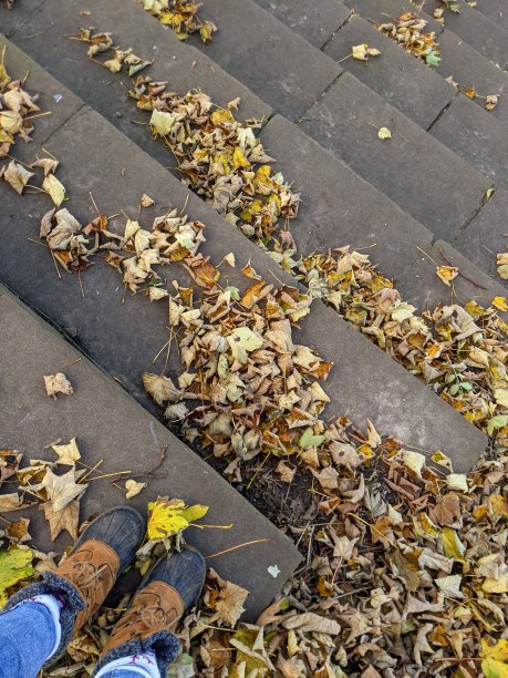 斜着眼睛往下看，一双靴子站在满是秋叶的石阶上图片下载