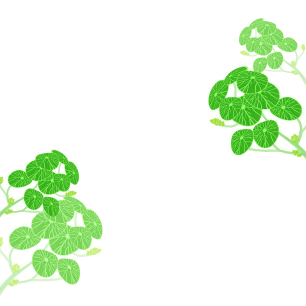 绿色的树叶春天用白色的空空间设计背景图片下载