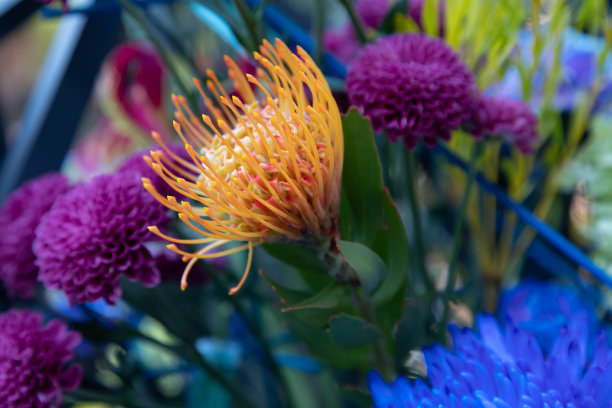 针垫白花堇青花和紫色大丽花在异国情调的花束与木制元素。现代最新的花艺。图片下载