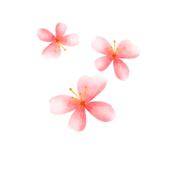 漂浮花朵素材图片
