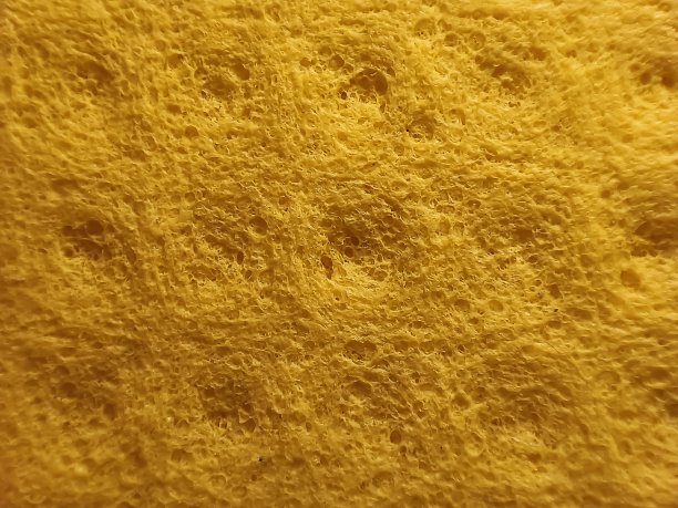 厨房海绵宏图片下载