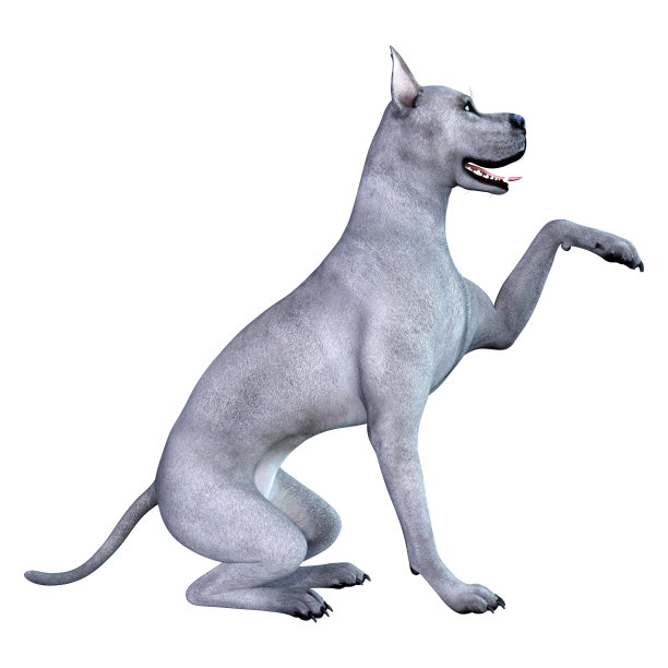 3D插图蓝色大丹狗在白色图片下载