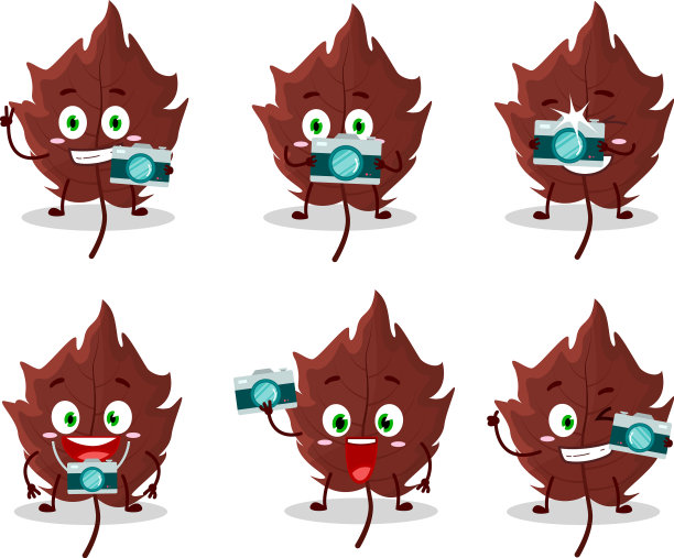 摄影师职业表情符号与棕色图片下载