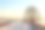 美丽的冬天的风景。路边田里的一棵大树。12月。图片下载