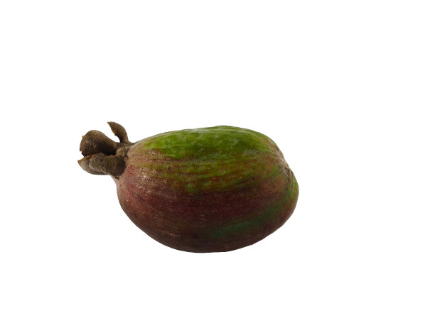 在白色背景上孤立的红绿菲乔果。热带水果:菠萝、番石榴、Feijoa Selloyan非常甜，在白色背景下散发出持久的香气图片下载