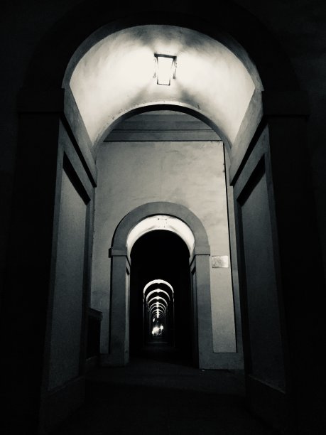 夜生活图片下载