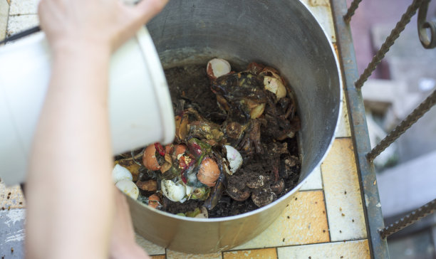 双手捧着堆肥图片下载