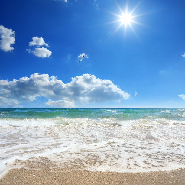 热带空海滩与蓝绿色的海景在阳光明媚的蓝天图片下载