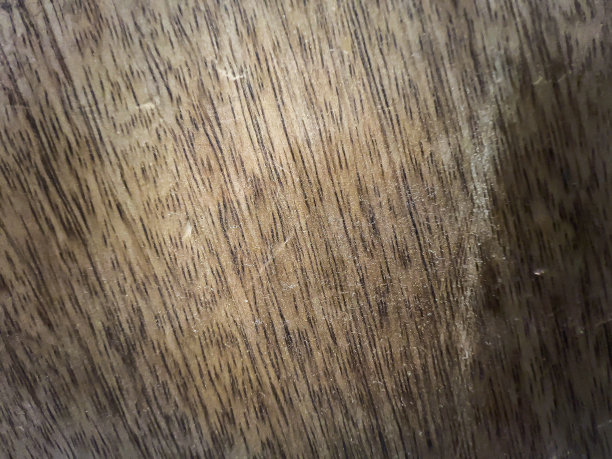 一个深浅木材的宏观图像。图片下载