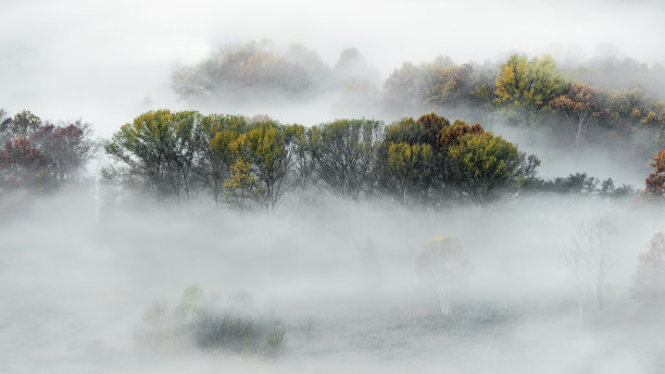 山林中雾蒙蒙的早晨图片下载