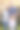 一个充满深情的年轻三口之家在花园里摆姿势的裁剪肖像图片下载