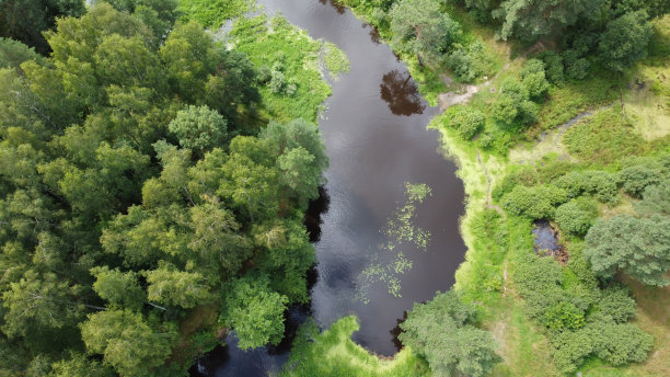 无人机视角的绿色森林和流动的河流。美丽的夏季景观与绿色的树木。俄罗斯,莫斯科地区。野营和远足户外生活方式的照片。图片下载