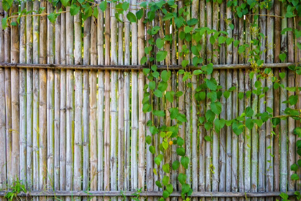 竹篱和绿叶被用来做乡村房子的墙图片下载