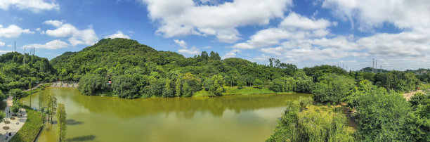 广州龙头山森林公园的自然风光图片下载