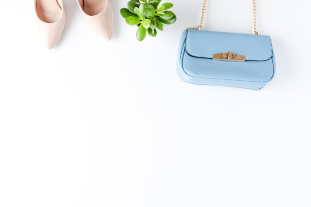 时尚背景与钱包和高跟鞋图片下载