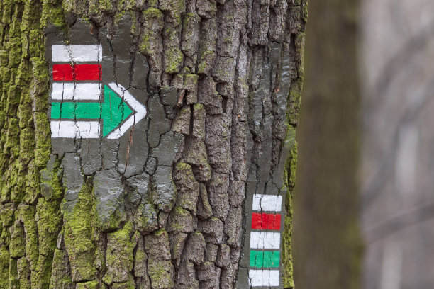 画有旅游标志的树图片下载