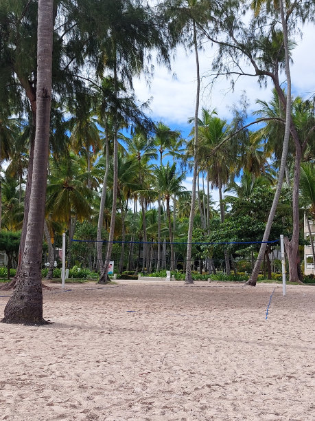 排球场图片下载