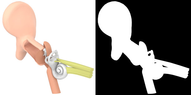 人耳解剖图片下载