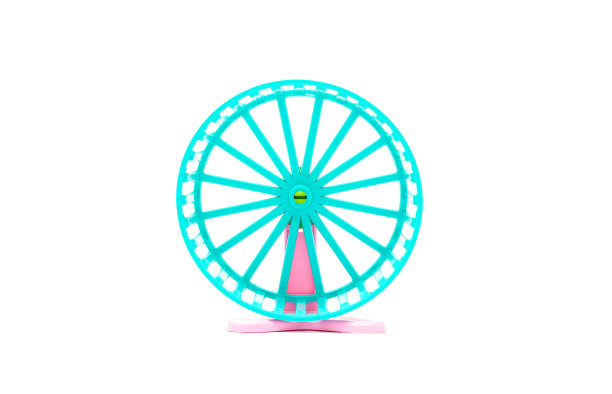 车轮啮齿动物孤立的白色与修剪路径图片下载