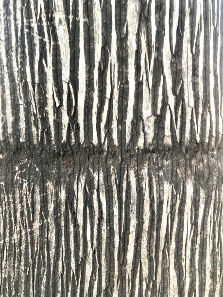 黑白纹理图片下载