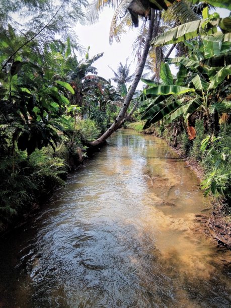 村子里有一条小河图片下载