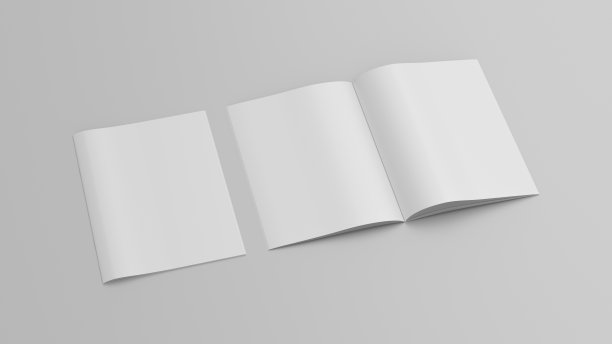 垂直小册子或小册子模拟白色背景。图片下载