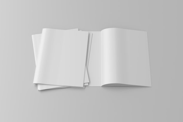 垂直小册子或小册子模拟白色背景。图片下载