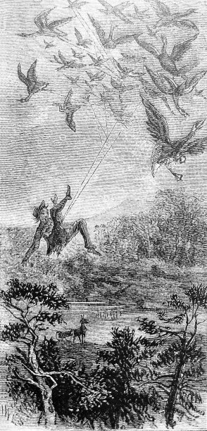 古董插画-哈泼斯杂志-人飞在一大群鸟的空中图片下载