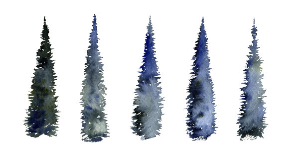 水彩画冷杉树图片下载