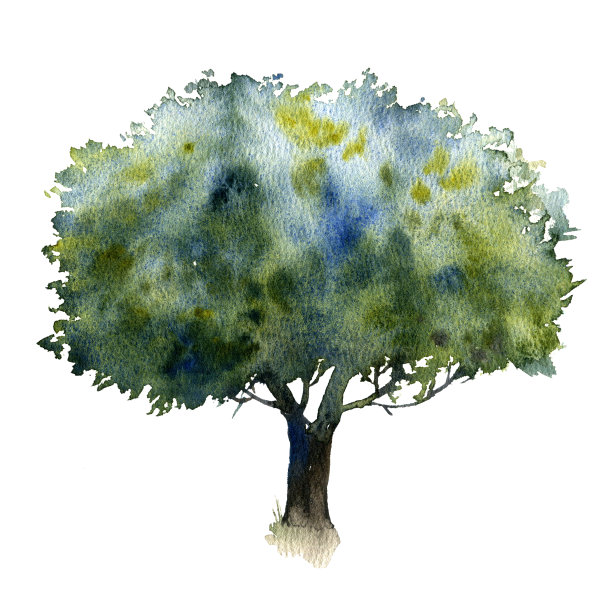 落叶树水彩画图片下载