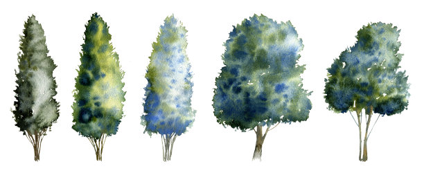 落叶树水彩画图片下载