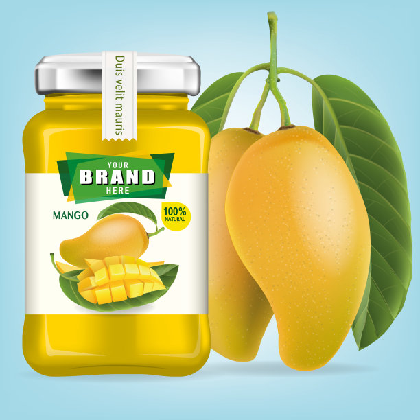 芒果干果包装设计。说明向量图片下载