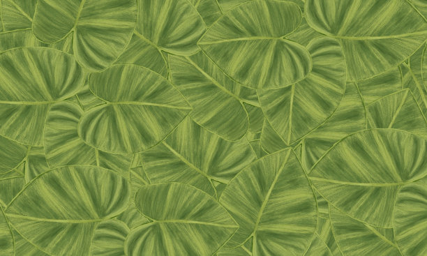 绿色热带树叶水彩数码绘画，抽象春天，夏天的自然背景图片下载