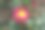 11月一朵宝石红和黄色的菊花图片下载