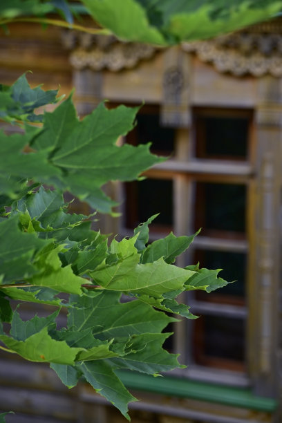 奇迹创造者圣尼古拉斯的来源图片下载