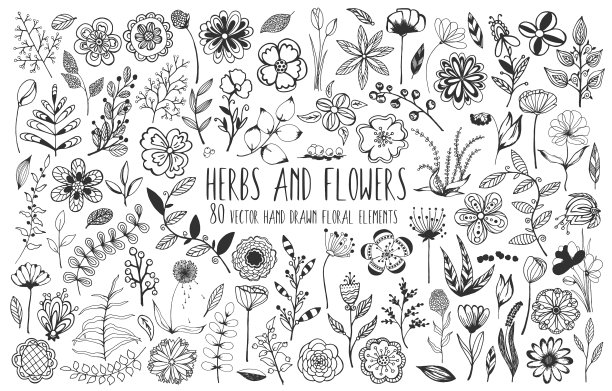 装饰大套花卉元素80手图片下载