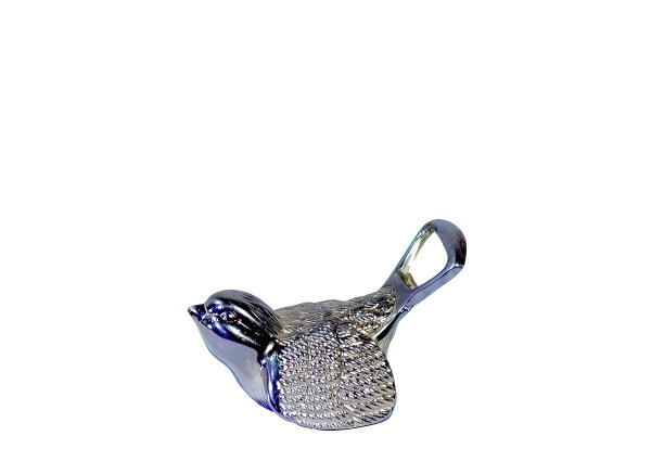 旧的银开瓶器鸟图片下载