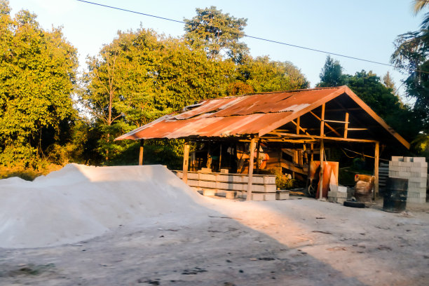 房子在森林里，数码照片图片作为背景图片下载